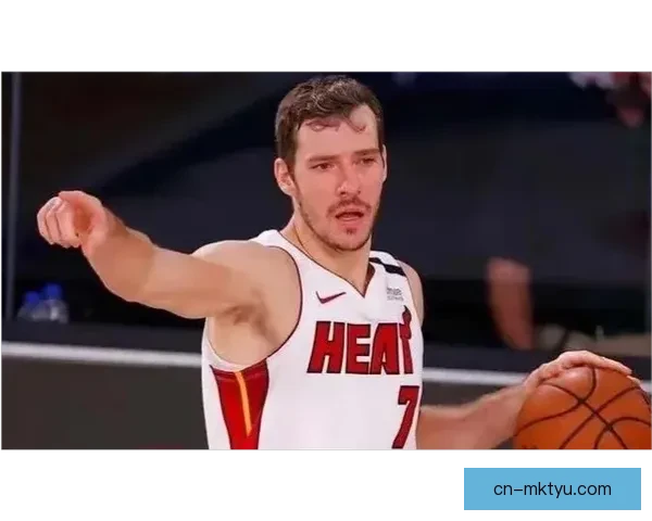 法布雷加斯为失德致歉公开道歉